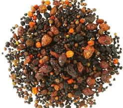 Dehner Natura Premium Wildvogelfutter Beeren-Mix, 500 g Hot