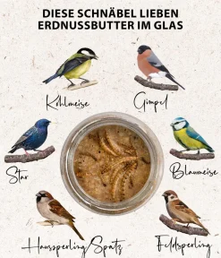 Dehner Natura Premium Wildvogelfutter & Snacks - Wildvogelfutter Geschälte Sonnenblumenkerne