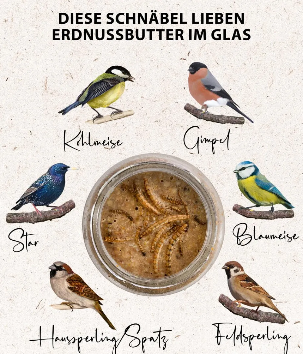 Dehner Natura Premium Wildvogelfutter & Snacks - Wildvogelfutter Geschälte Sonnenblumenkerne
