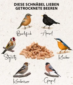 Dehner Natura Premium Wildvogelfutter Gourmet Sticks mit Beeren Best