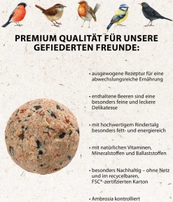 Dehner Natura Premium Meisenknödel > Wildvogelfutter Beeren-Meisenknödel im Karton, ohne Netz, 100 Stk.