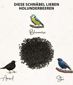Dehner Natura Premium Wildvogelfutter & Snacks - Wildvogelfutter Rosinen