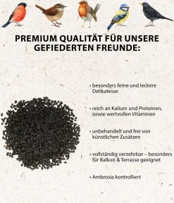 Dehner Natura Premium Wildvogelfutter & Snacks - Wildvogelfutter Rosinen