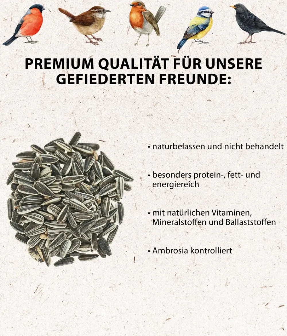 Dehner Natura Premium Meisenknödel > Wildvogelfutter Meisenknödel, mit Netz, 6 Stk.