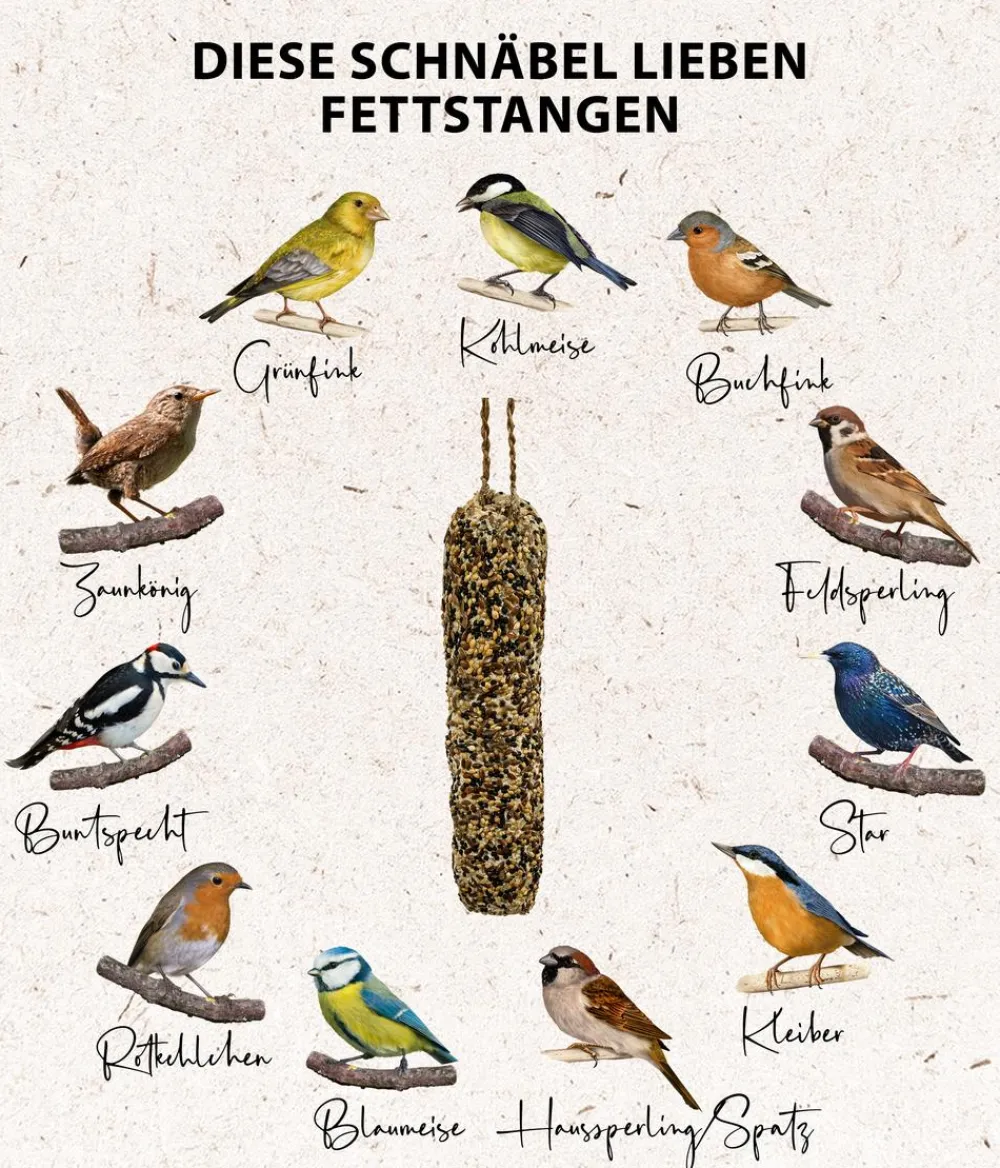 Dehner Natura Premium Wildvogelfutter & Snacks - Wildvogelfutter Protein-Mix, 500 g