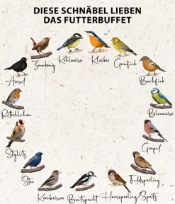 Dehner Natura Premium Wildvogelfutter Futterbuffet Maxi, 8-teilig