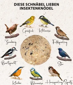 Dehner Natura Premium Wildvogelfutter & Snacks - Wildvogelfutter Pinienzapfen Hellrot