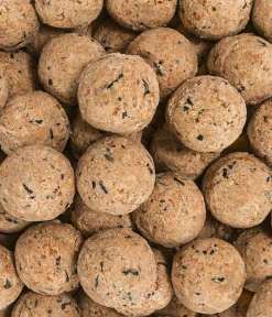 Dehner Natura Premium Wildvogelfutter & Snacks - Wildvogelfutter Pinienzapfen Hellrot