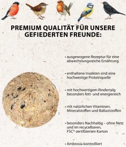Dehner Natura Premium Wildvogelfutter Insekten-Meisenknödel im Karton, ohne Netz, 100 Stk. Best