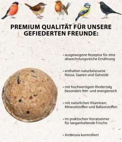 Dehner Natura Premium Wildvogelfutter & Snacks - Wildvogelfutter Gourmet Blocks mit Hirse, 6 Stk á ca. 90 g