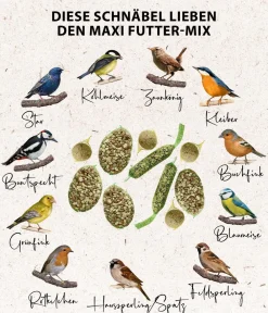 Dehner Natura Premium Wildvogelfutter & Snacks - Wildvogelfutter Maxi Gourmet-Mix, 1.380 g