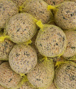Dehner Natura Premium Wildvogelfutter Power-Meisenknödel im Eimer, mit Netz, 30 Stk.