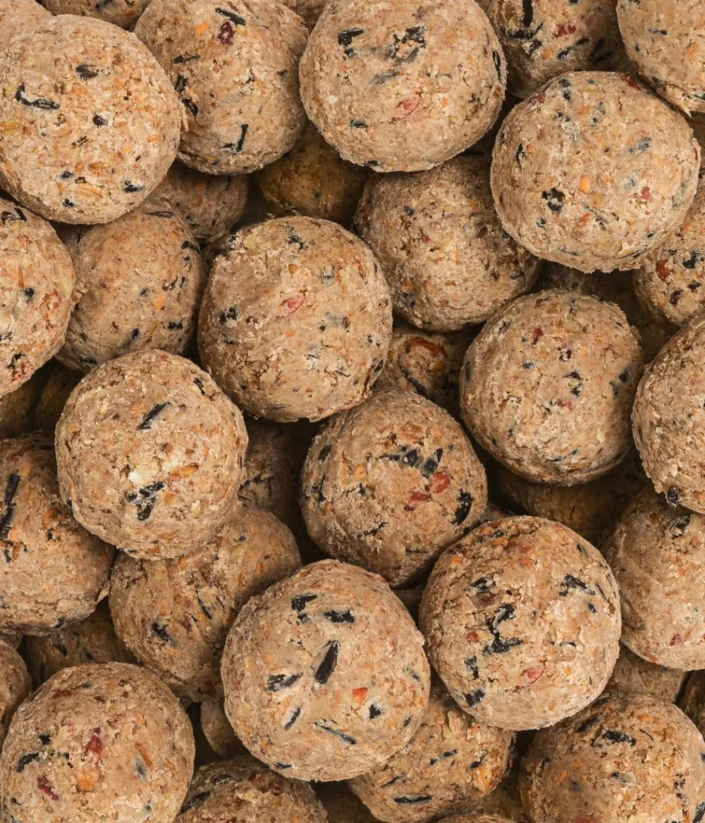 Dehner Natura Premium Meisenknödel - Wildvogelfutter Meisenknödel im Eimer, ohne Netz