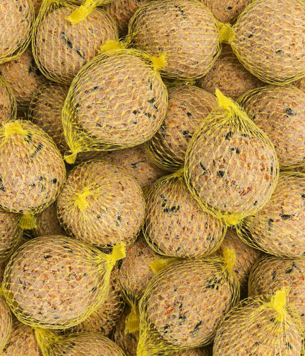 Dehner Natura Premium Meisenknödel - Wildvogelfutter Meisenknödel im Eimer, mit Netz