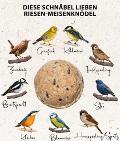 Dehner Natura Premium Meisenknödel - Wildvogelfutter Riesen-Meisenknödel, mit Netz