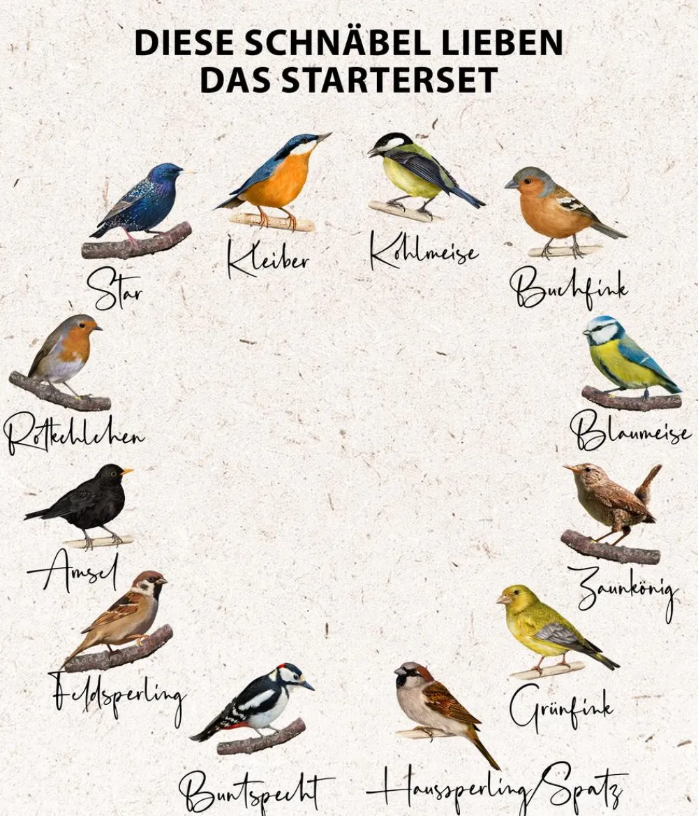 Dehner Natura Premium Wildvogelfutter & Snacks|Meisenknödel - Wildvogelfutter Starterset, 7-teilig