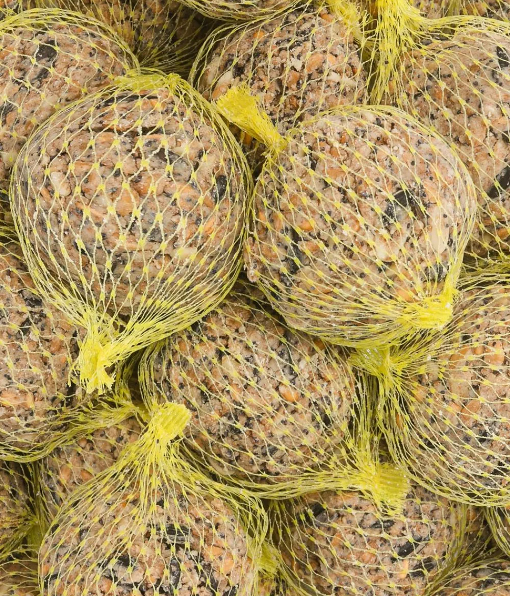 Dehner Natura Premium Meisenknödel - Wildvogelfutter Mohn-Meisenknödel im Eimer, mit Netz, 30 Stk.