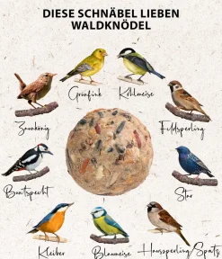 Dehner Natura Premium Meisenknödel - Wildvogelfutter Wald-Meisenknödel im Eimer, mit Netz, 30 Stk.