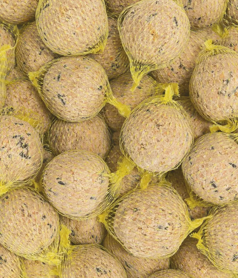 Dehner Natura Premium Meisenknödel - Wildvogelfutter Müsli-Meisenknödel im Eimer, mit Netz, 30 Stk.