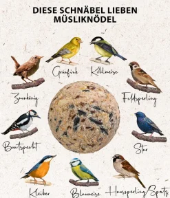 Dehner Natura Premium Meisenknödel - Wildvogelfutter Müsli-Meisenknödel im Eimer, mit Netz, 30 Stk.