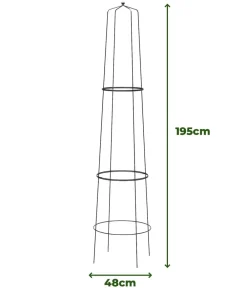 Dehner Obelisk-Sekt Nova, 2-teilig Schwarz Discount