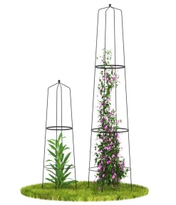 Dehner Obelisk-Sekt Nova, 2-teilig Schwarz Discount