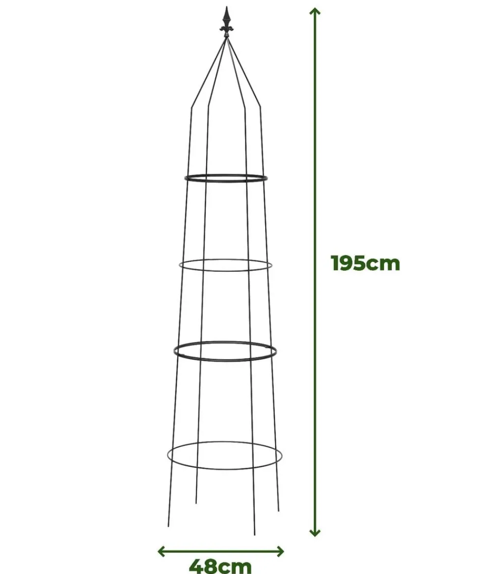 Dehner Rankgitter & Obelisken - Obelisk-Set Ilaria, 2-teilig Schwarz