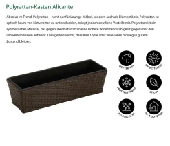 Dehner Pflanzkübel & Blumenkästen - Polyrattan-Kasten Alicante, rechteckig, braun