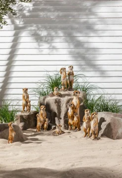 Dehner Gartenzwerge & Gartenfiguren - Polyresin-Erdmännchen Duo, ca. B11/H30/T11 cm