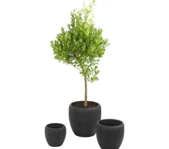 Dehner Polyresin-Pflanzvase Tokio in Riffeloptik, rund, grau Dunkelgrau Clearance