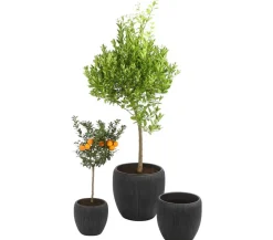 Dehner Polyresin-Pflanzvase Tokio in Riffeloptik, rund, grau Dunkelgrau Clearance