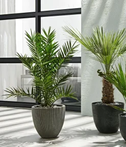 Dehner Blumentöpfe & Übertöpfe - Polystone-Topf Brisbane in Riffeloptik, rund Dunkelgrau