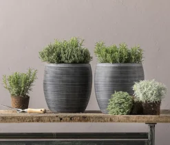 Dehner Blumentöpfe & Übertöpfe - Polystone-Topf Brisbane in Riffeloptik, rund Dunkelgrau