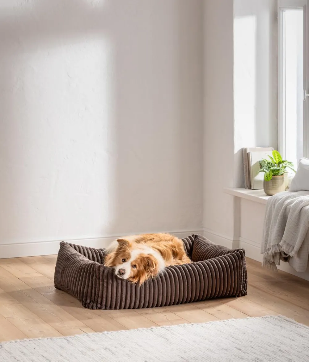 Dehner Premium Betten & Kissen|Hundebetten & Körbe - Hundebett Doya, rechteckig, ca. B100/H25/T80 cm Braun
