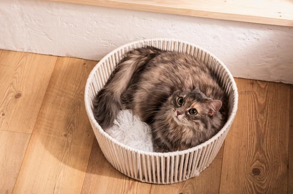 Dehner Premium Lovely Katzenbetten & Katzenkissen - Kuschelbett Erholung, rund, , ca. Ø40/H18 cm Weiß