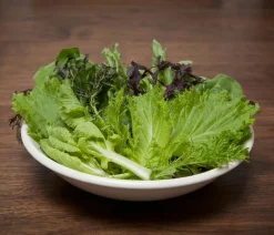 Dehner Gemüsesamen > Premium Samen Asia-Salat-Mischung