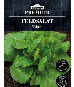 Dehner Premium Samen Feldsalat 'Elan' Best