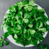 Dehner Gemüsesamen - Premium Samen Feldsalat 'Vit'