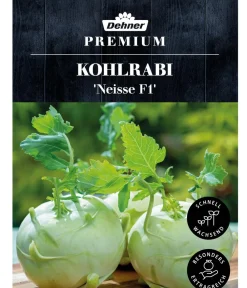 Dehner Gemüsesamen > Premium Samen Kohlrabi 'Neisse F1'