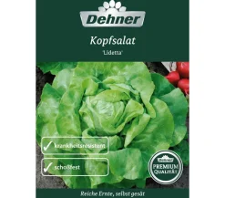Dehner Premium Samen Kopfsalat 'Lidetta' Hellgrün Hot