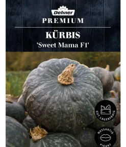 Dehner Premium Samen Kürbis 'Sweet Mama F1' Online
