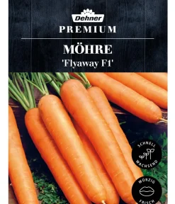 Dehner Gemüsesamen > Premium Samen Möhre 'Flyaway F1'