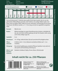 Dehner Premium Samen Möhre 'Flyaway' Hot