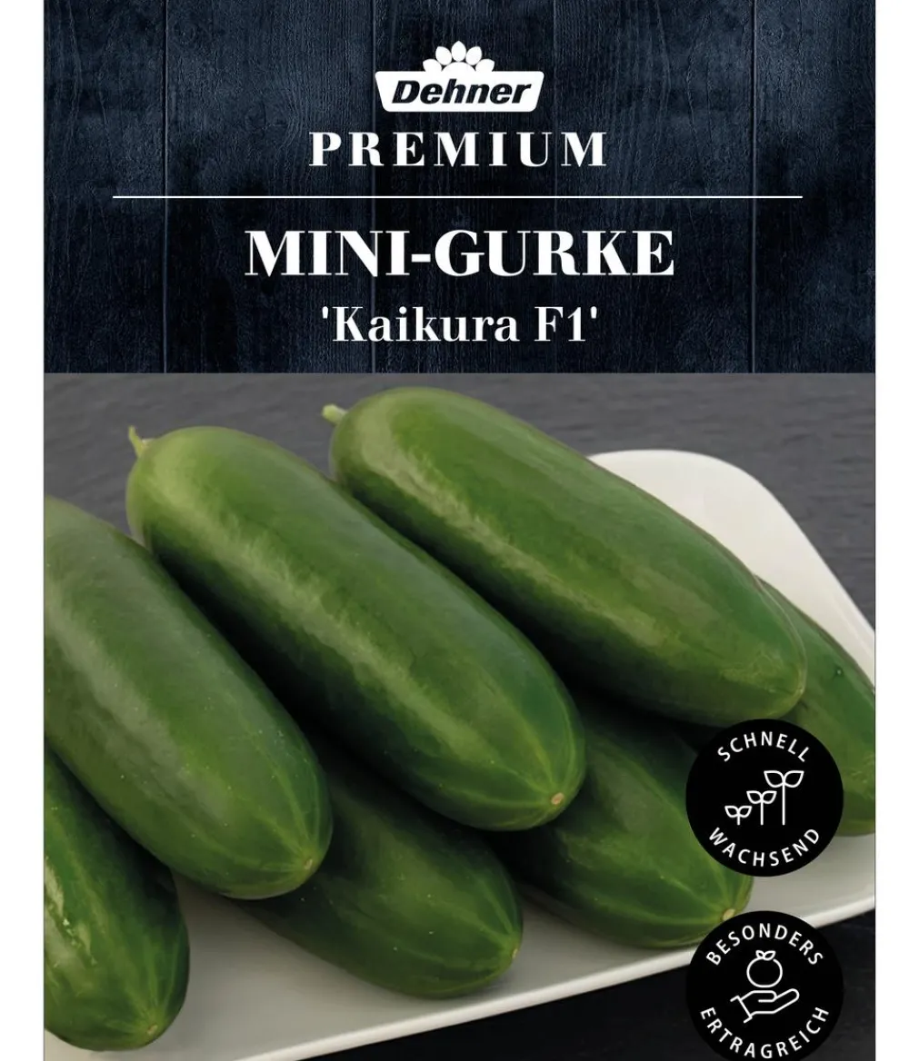 Dehner Premium Samen Mini-Gurke 'Kaikura F1' Best