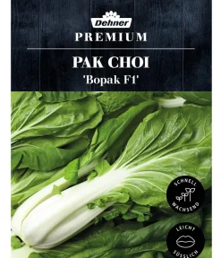Dehner Gemüsesamen > Premium Samen Pak Choi 'Bopak F1'