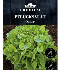 Dehner Premium Samen Pflücksalat 'Oaker' Discount