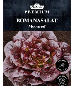 Dehner Gemüsesamen - Premium Samen Romanasalat 'Moonred'
