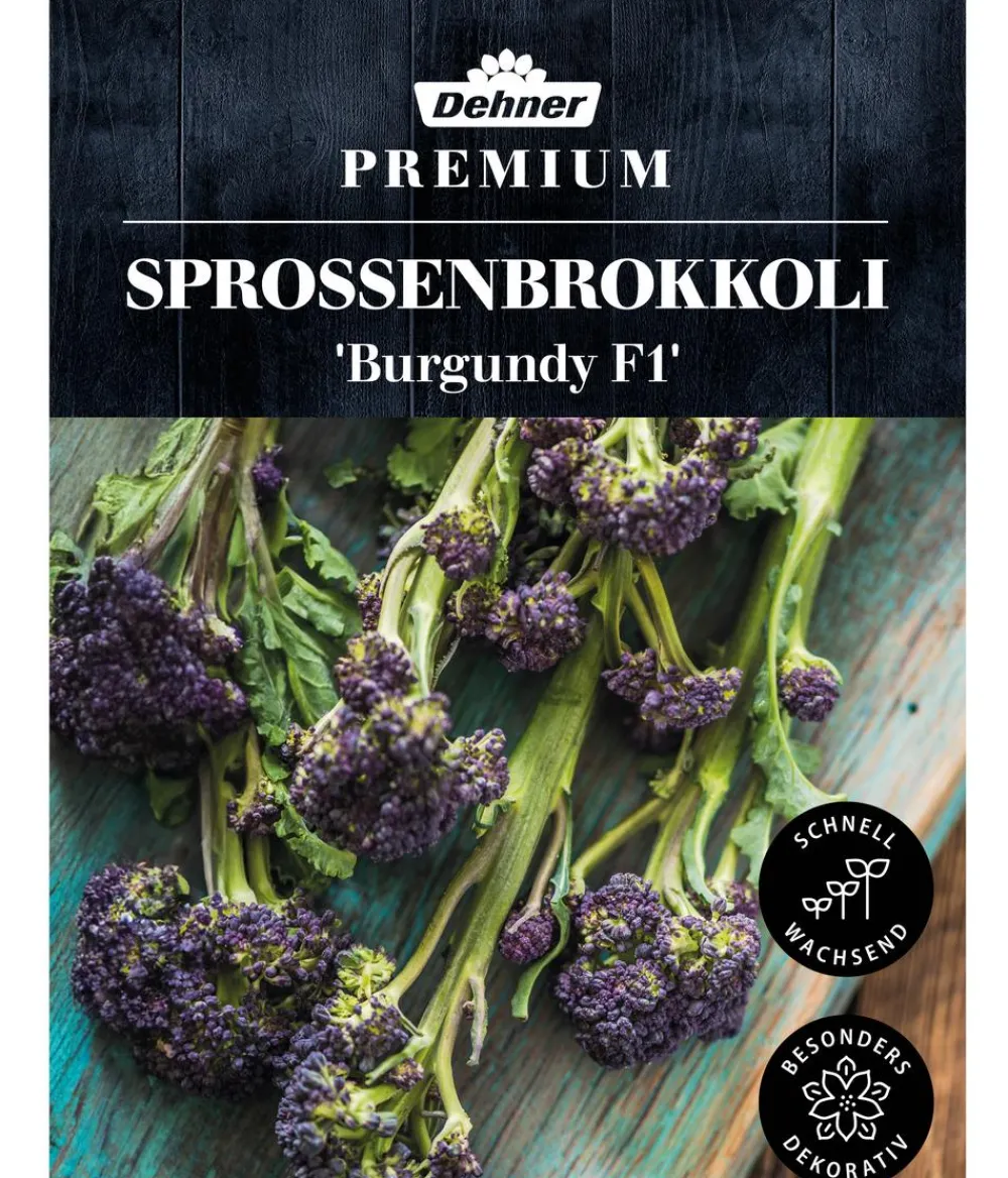 Dehner Premium Samen Sprossenbrokkoli 'Burgundy F1' Discount