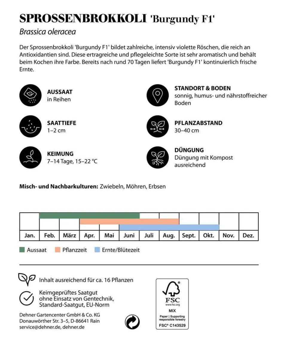 Dehner Premium Samen Sprossenbrokkoli 'Burgundy F1' Discount