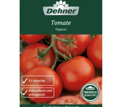 Dehner Gemüsesamen - Premium Samen Tomate 'Diplom'